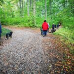 Social Walks - Stadttraining