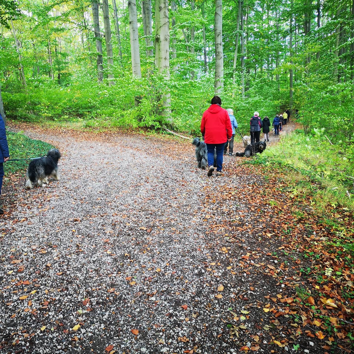 erziehungsspaziergang