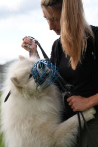 Milena Drönner Intensivprogramm