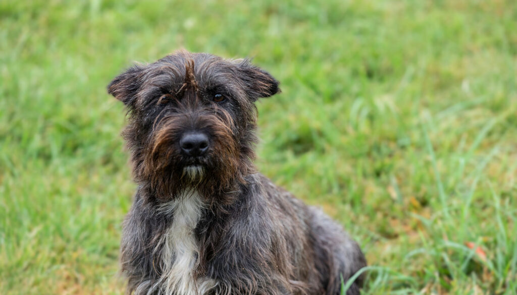 Mehr über den Artikel erfahren Nala