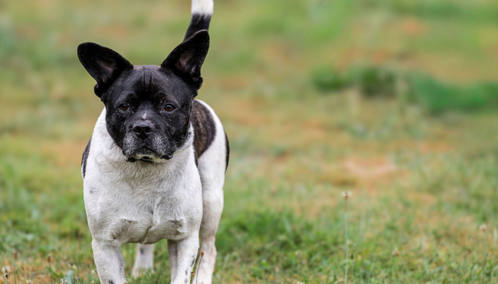 Mehr über den Artikel erfahren Nicky