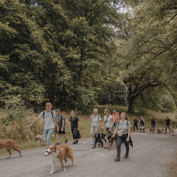 Hundewanderung