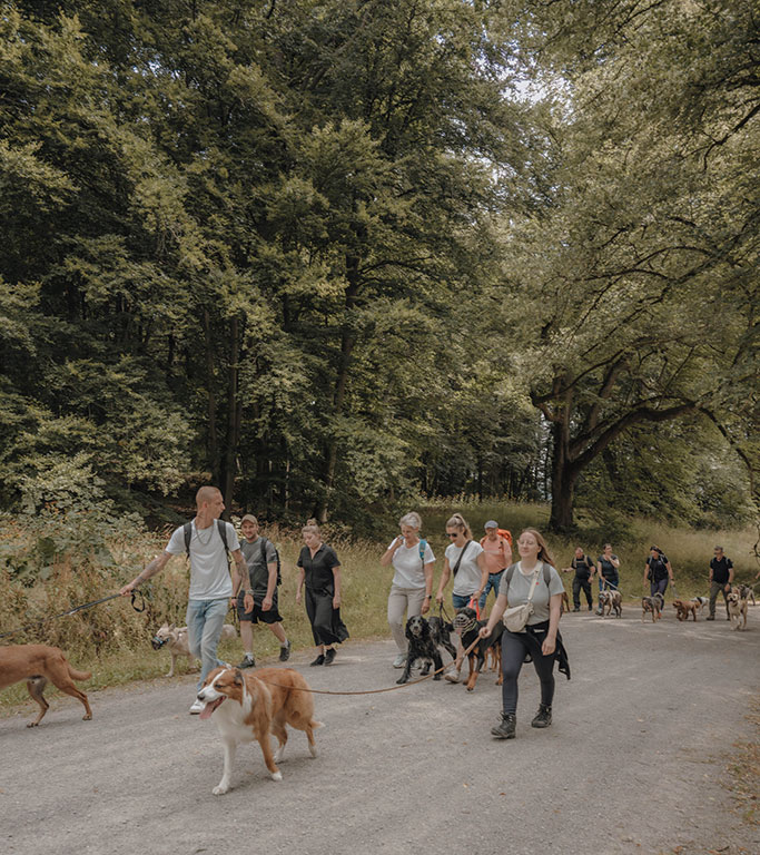 Hundewanderung