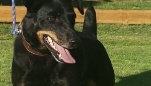 Mehr über den Artikel erfahren George