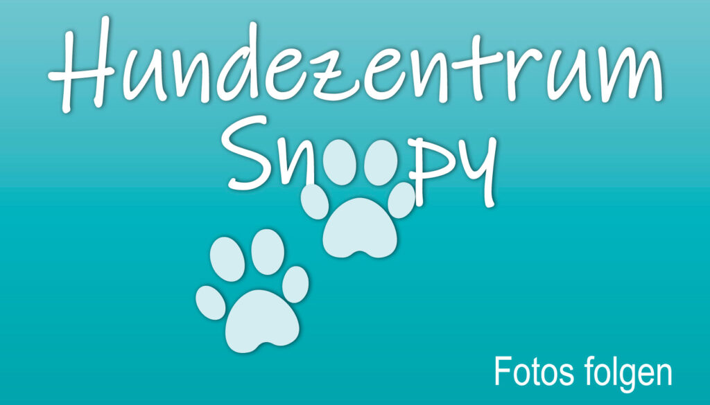 Mehr über den Artikel erfahren Findus