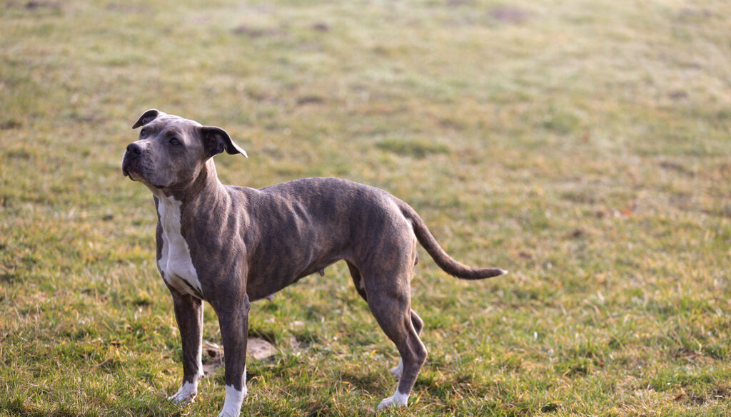Mehr über den Artikel erfahren Luna